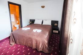 Hotelul dacia pune la dispoziția turștilor două săli de conferințe cu capacități de 40 respectiv 70 de locuri. Hotel Dacia Baile Herculane