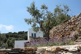 Maisons A Louer En Grece J Irai Dormir Chez Vous En Grece Jardin Grec Maison A Louer A Louer