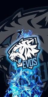 Evos esports, formerly known as zero latitude, is a professional esports organisation based in jakarta, indonesia. Evos Esport Wallpapers Wallpaper Cave