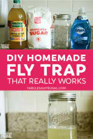 Goodbye House Flies Easy Diy Fly Trap Homemade Version Diy Fly Trap Fly Traps Diy Fruit Fly Trap