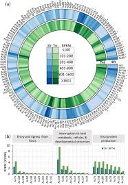 The cbd products that trainers recommend (and use themselves) for workout recovery. A Tale Of Two Transcriptomic Responses In Agricultural Pests Via Host Defenses And Viral Replication Biorxiv