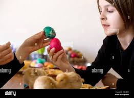 Two children, boy brothers, fighting at home with easter eggs in the  morning in Easter day Stock Photo