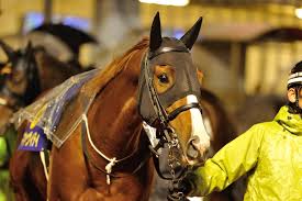 We did not find results for: ç«¶é¦¬ æœ€è¿'ã®ã‹ã‚ã„ã„ç¾å½¹é¦¬æ•™ãˆã¦