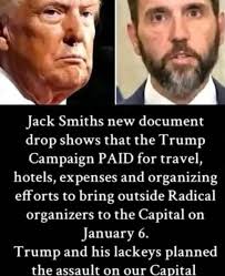 Liz Cheney/Adam Kinzinger Against Trump