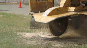 Landscape contractors garden centers tree service. Best 30 Landscape Contractors In Bakersfield Ca With Reviews Yp Com