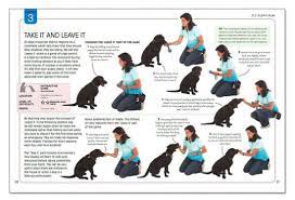 Brain Games For Dogs Fun Ways To Build A Strong Bond With Your Dog And Provide It With Vital Mental Stimulation By Claire Arrowsmith Paperback Barnes Noble