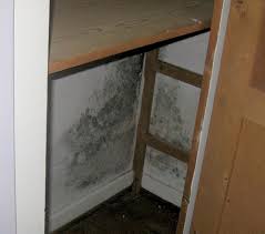 Schimmel hinter dem schrank liegt meistens mit schimmel an der wand zusammen. Schimmel In Der Wohnung Entfernen Und Ursachen Beseitigen
