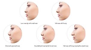 All you need to do is drag, grow or shrink the body parts you want to distort. About Hershe Nose Surgery