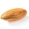 How to use seed in a sentence. 1