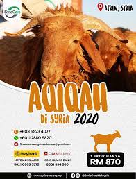 Harga kambing etawa super bergantung pada kualitas dari kriteria kambing etawa super yang dimilik seekor kambing. Aqiqah 4 Syria Syria Care