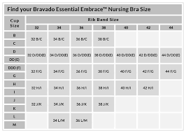 11 described 34h bra size chart