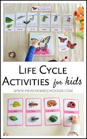 Learn all about butterflies with this lovely free printable and. Life Cycle Activities For Kids Kindergarten Science Activities Life Cycles Activities Life Cycles