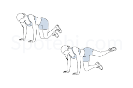 Start on all fours with your hands under your shoulders and knees under your hips. Fire Hydrant Illustrated Exercise Guide