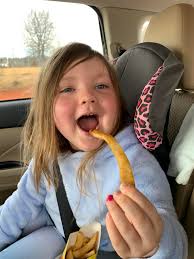 Kenzie the springer spaniel's personality and life