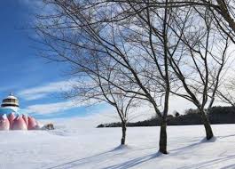 We did not find results for: Mild Mild Country Run Run Osho News