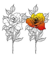 This Minimal Shade Color Fade Though 3 Traditional Tattoo Flowers Rose Tattoos Flower Drawing