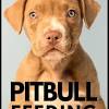 One of the best dog food pit bull puppies can eat the purina pro plan puppy dry dog food. 1