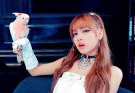 Pin On Blackpink