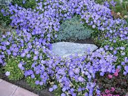 Pin On Garden Inspiration