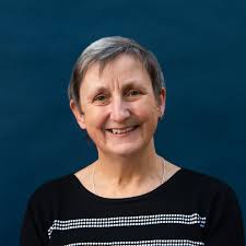 Victoria state election: former political journalist Carol Altmann seeks to  ride 'teal' wave