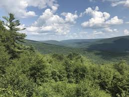 Most baccalaureate programs and some associate programs can be initiated at other campuses before requiring a change of campus to one listed for completion of the. Bedrock Type Under Forests Greatly Affects Tree Growth Species Carbon Storage Eurekalert Science News
