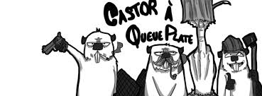 Les castors font partie des seuls mammifères qui modifient volontairement leur environnement. Castor A Queue Plate Posts Facebook