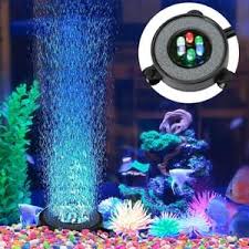 Explore the oceans' depths in the gulf of mexico, south atlantic, north pacific, south pacific and caribbean. Leuchtsteine Kieselsteine Deko Aquarium Kies Fur Gehwege Garten Aquarium Vase Kinderzimmer Schwimmbad Dekor Aquarium Cjw 100er Aquarium Steine Blau Garten Gartendeko Suenaacampo Com