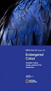 Oppo Endangered Colour With National Geographic Oppo United Kingdom