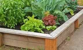 Setting up of a vegetable garden is not an uphill task if you have the proper layout. Vegetable Garden Ideas Design Garden Design