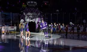 Reading Royals Up To 55 Off Reading Pa Groupon