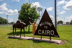 Check spelling or type a new query. Camel And Pyramid In Cairo Nebraska Silly America