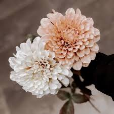 We did not find results for: Z 1081 Minimalist Style Artificial Silk 2 Headss Burgundy Dahina Flowers For Home Decoration Buy Silk Dahlia Flowers Silk Dahlia Flowers Artificial Flower For Home Decor Product On Alibaba Com