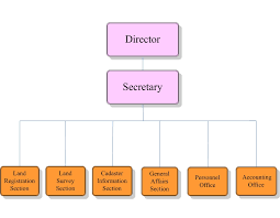 Office Organization Chart Lamasa Jasonkellyphoto Co