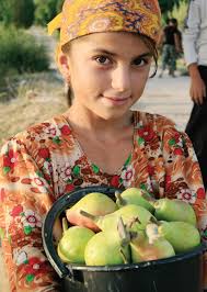 FORMATIVE RESEARCH ON INFANT AND YOUNG CHILD FEEDING AND MATERNAL NUTRITION  IN TAJIKISTAN