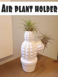 Items that you can buy at dollar tree: Diy Dollar Store Air Plant Holder Air Plant Holder Plant Holders Diy Succulent Terrarium