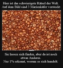 Hier Ist Das Schwierigste Ratsel Der Welt Lustige Bilder Spruche Witze Echt Lustig Witze Und Ratsel Schwierige Ratsel Witze