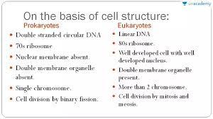 Check spelling or type a new query. Similarities Between Plant And Animal Cells Pdf