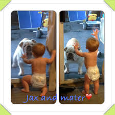 Jax And Mater Sumo Wrestling Wrestling Pets