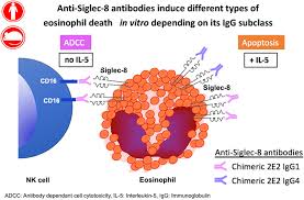 Picture of wind damaged fence. Sialic Acid Binding Immunoglobulin Like Lectin Siglec 8 In Patients With Eosinophilic Disorders Receptor Expression And Targeting Using Chimeric Antibodies Journal Of Allergy And Clinical Immunology