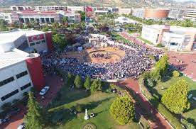 Evlerinde neredeyse her gün akşamları ortaya çıkan dev örümceklerden çok korktuklarını ifade eden mahalle sakinleri bir an önce tedbir alınmasını istiyor. Aydin Turkiye Nin En Cok Tercih Edilen Ucuncu Ili Oldu Aydin Haberleri