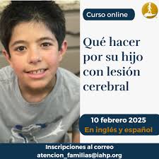 The Institutes for the Achievement of Human Potential