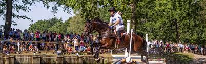 Sports to participate in a board. Vielseitigkeit Disziplin Im Pferdesport Fn