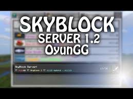 Towny, survival, skyblock dark survival, . Minecraft Skyblock Server