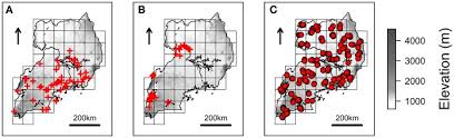 O jornal de notícias é um título incontornável no panorama da imprensa portuguesa. Combining Landscape Genomics And Ecological Modelling To Investigate Local Adaptation Of Indigenous Ugandan Cattle To East Coast Fever Abstract Europe Pmc