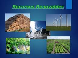Resultado de imagen para imagenes de recursos renovables