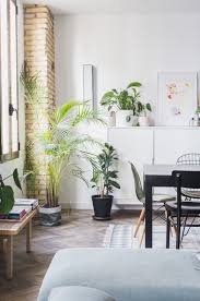 A Modern Minimal Spanish Apartment Has The Sleek Black Kitchen Of Our Dreams Indoor Tree Plants House Plants Indoor Indoor Plants Low Light