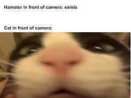 Feb 09, 2021 · staring fish, also known by the original caption do you fart, refers to an image of a lagoon triggerfish looking directly at the camera, usually paired with ironic, surreal or offensive captions. Cat In Front Of Camera Memes