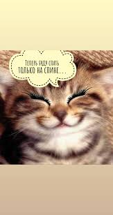 pin ot polzovatelya svetlana na doske narashivanie resnic yumor narashivanie resnic resnicy vizitki salona