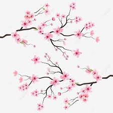 Check spelling or type a new query. Cherry Blossoms Blossom Branch Png Pink Cherry Blossoms Blossom Branch Blossom Branch Png Png And Vector With Transparent Background For Free Download