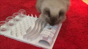 Buy the best and latest cat food puzzle on banggood.com offer the quality cat food puzzle on sale with worldwide free shipping. Wet Food Puzzles Food Puzzles For Cats